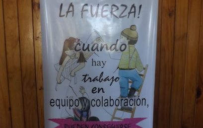 Guias y Scout San Francisco entregan valioso aporte