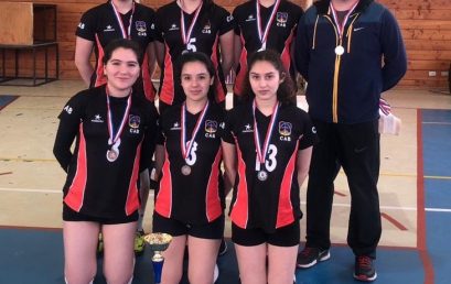 Participación en Vóleibol