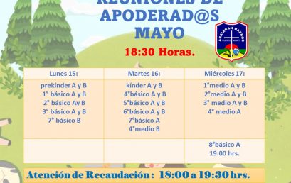 REUNIONES DE APODERADOS